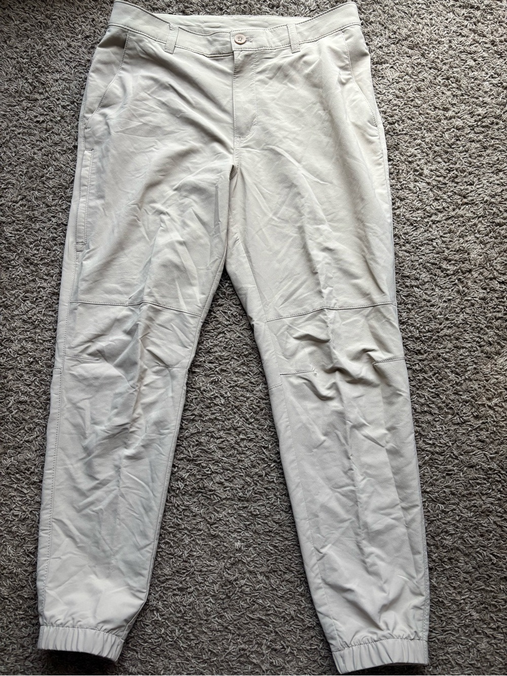 Alpine Light Beige Men's Jogger Pants with Elastic Ankles